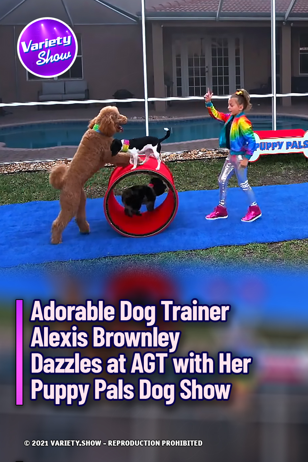 Adorable Dog Trainer Alexis Brownley Dazzles at AGT with Her Puppy Pals Dog Show
