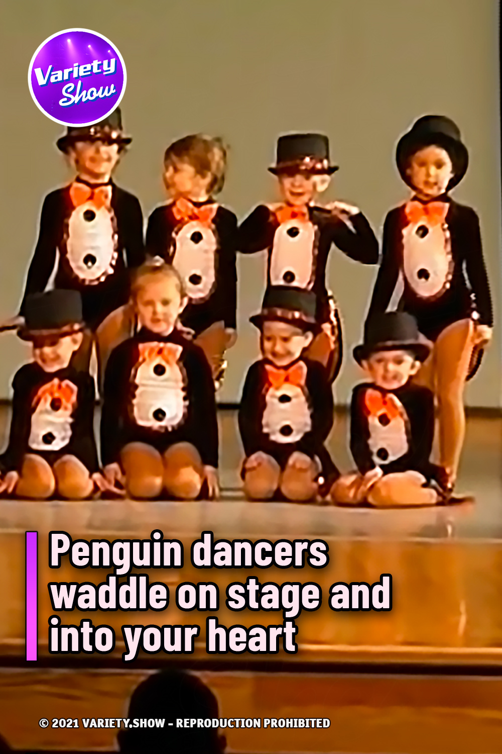Penguin dancers waddle on stage and into your heart