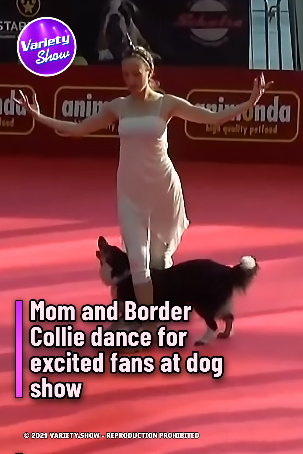 Mom and Border Collie dance for excited fans at dog show