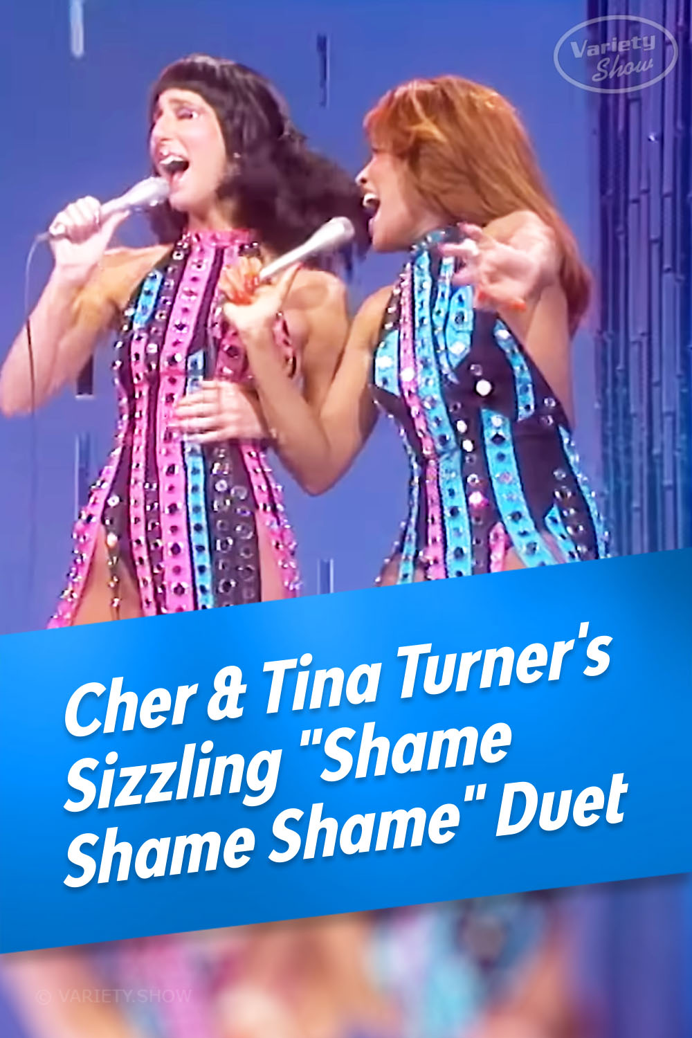 Cher & Tina Turner\'s Sizzling \