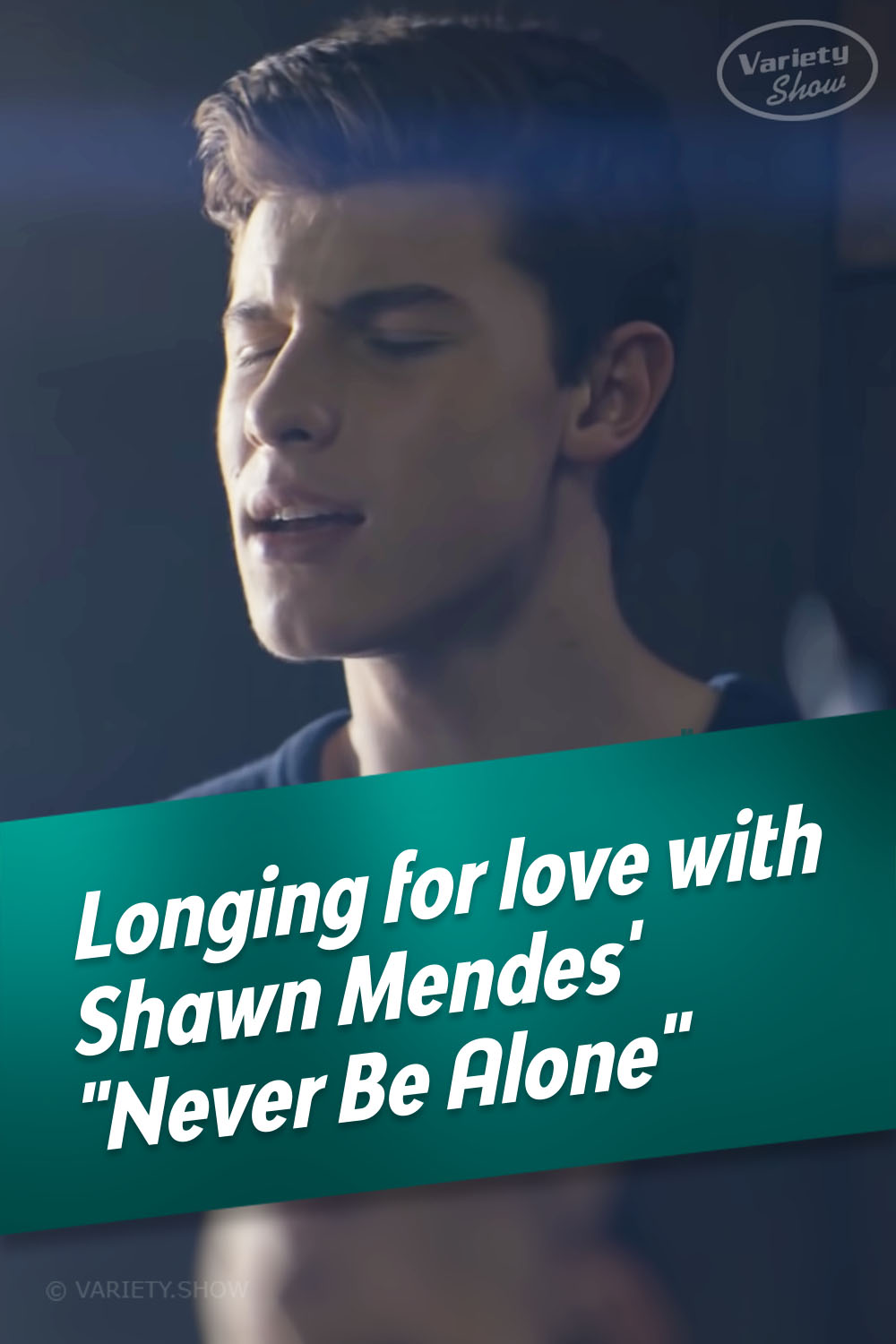 Longing for love with Shawn Mendes\' \